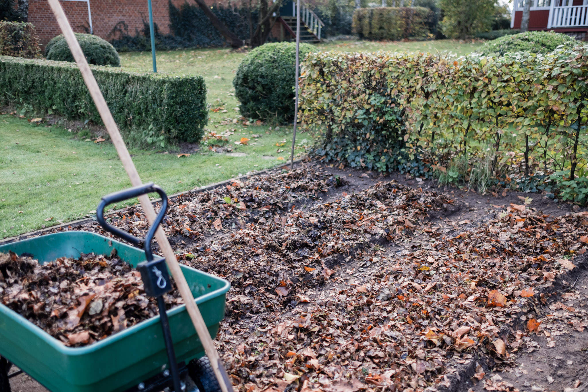 Gartenaufgaben Im Herbst Für Den Winter - Osmers Garten