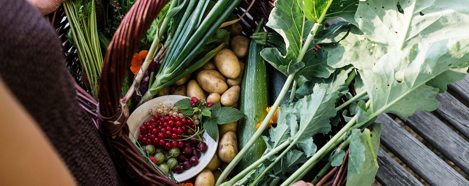 Mischkultur Gute Nachbarn Und Schlechte Nachbarn Osmers Garten